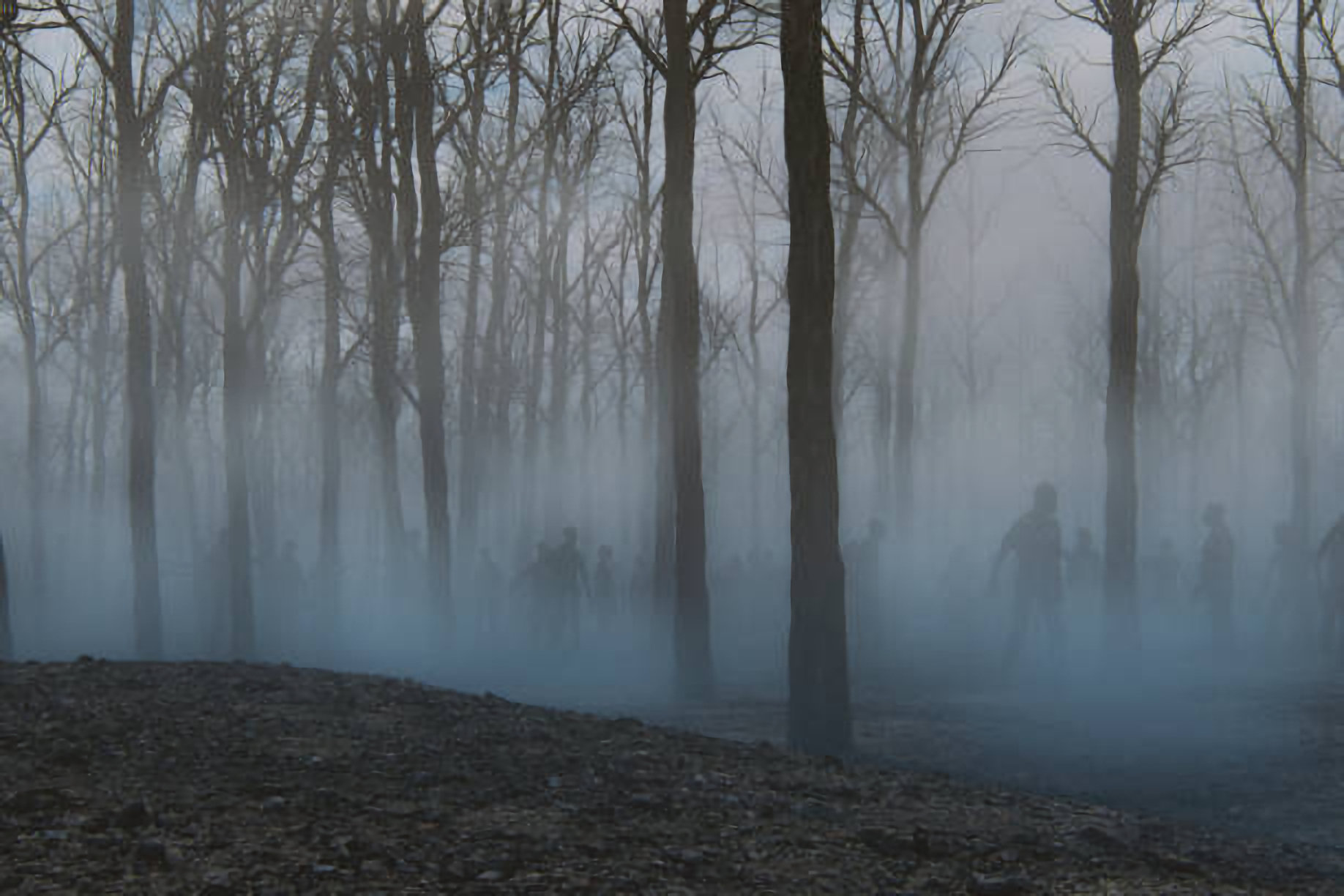 Silhouettes de mort-vivants dans le brouillard d'une forêt. Illustration: Gremlin