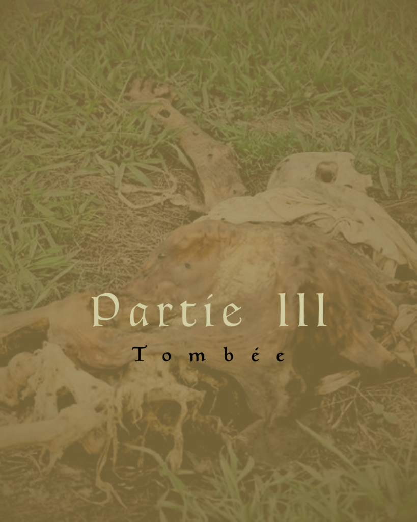 Partie III Tombée, par dessus un corps à moitié décomposé
