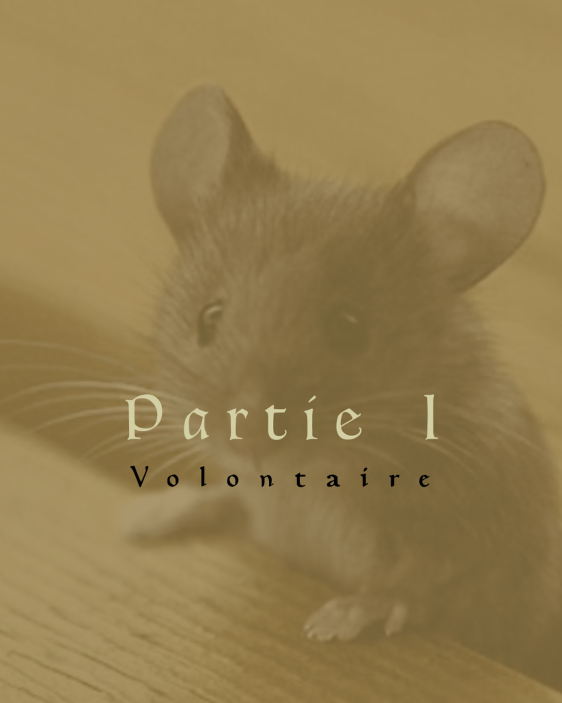 Partie I Volontaire, par dessus le minois d'une souris
